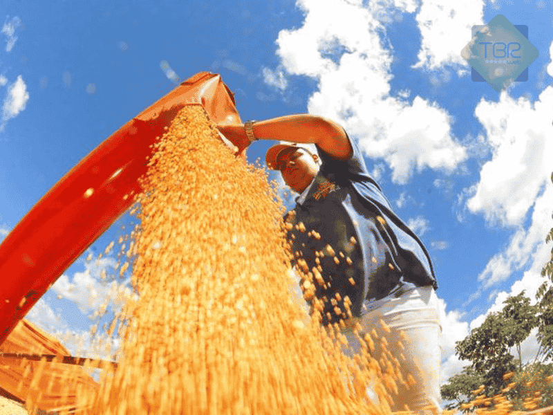 IBC-Br recuou 0,6% em junho, diz Banco Central